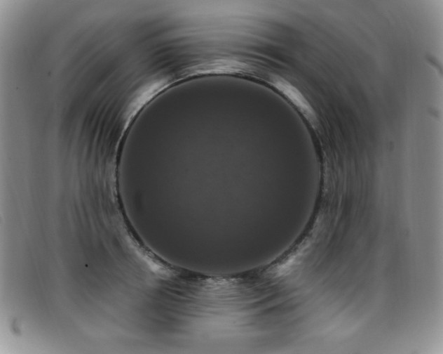 X0000096680850200802051244