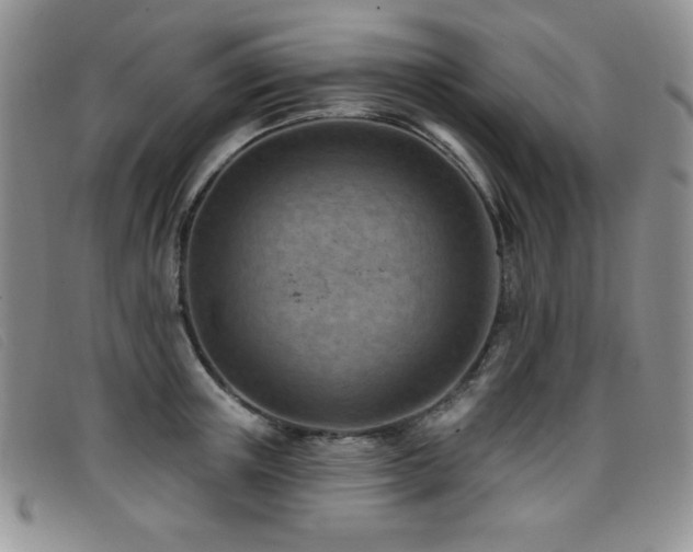 X0000096680851200802051244