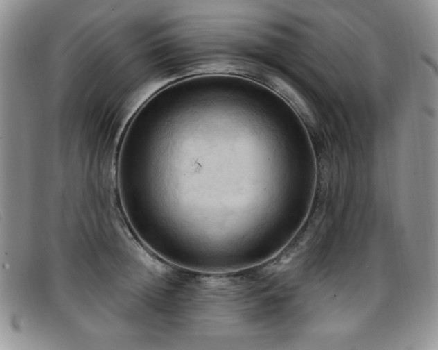 X0000096680852200802051244