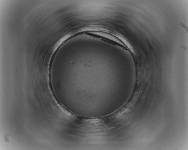 X0000096680853200802051244