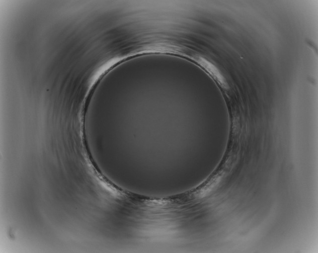 X0000096680854200802051244