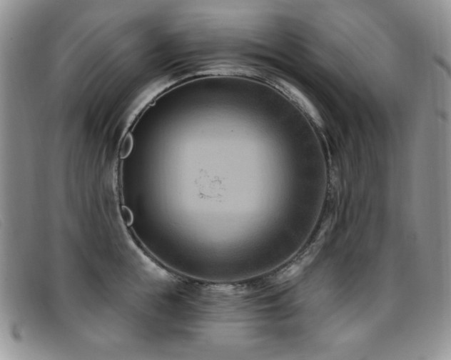 X0000096680855200802051244