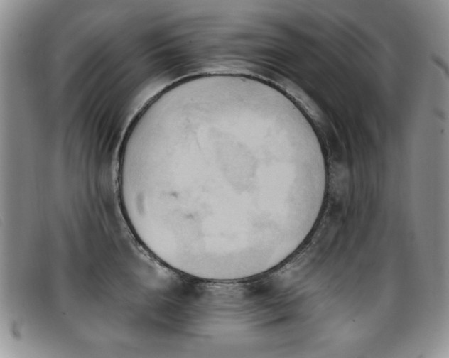 X0000096680856200802051244