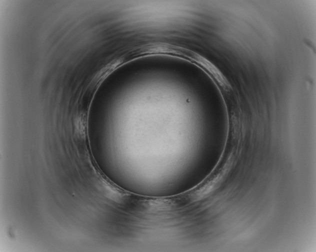 X0000096680857200802051244