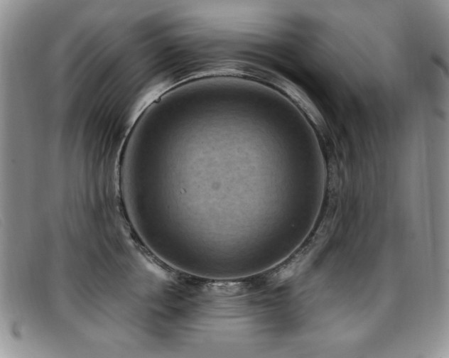X0000096680858200802051244