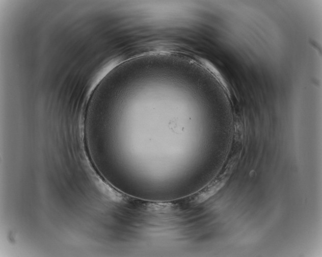 X0000096680859200802051244