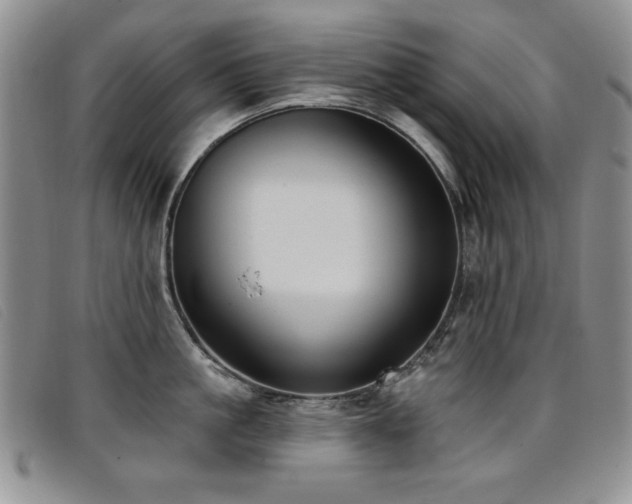 X0000096680861200802051244
