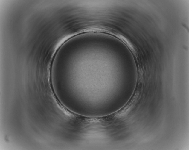 X0000096680862200802051244