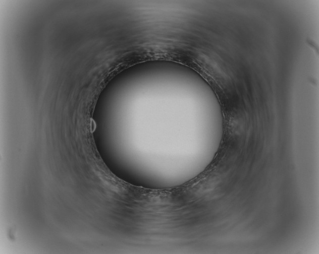 X0000096680865200802051244