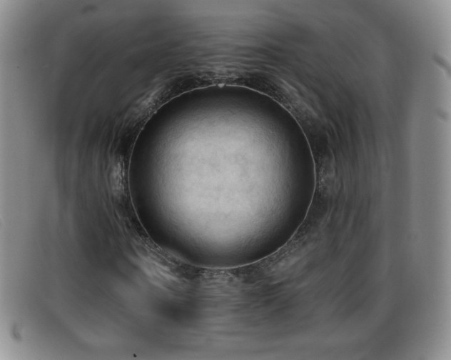 X0000096680866200802051244