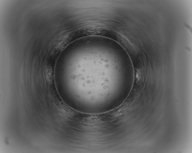 X0000096680867200802051244