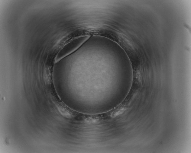 X0000096680868200802051244