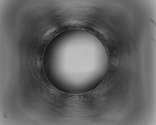 X0000096680869200802051244