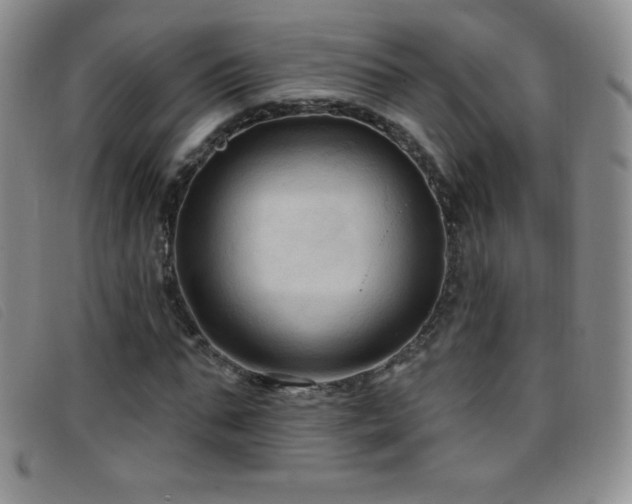 X0000096680871200802051244
