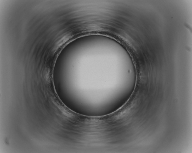 X0000096680873200802051243