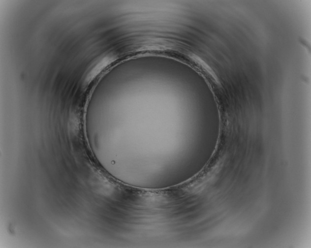 X0000096680874200802051243