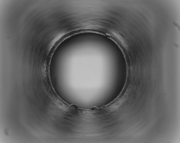 X0000096680875200802051243
