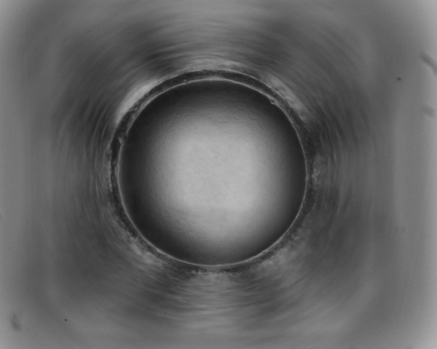 X0000096680877200802051243