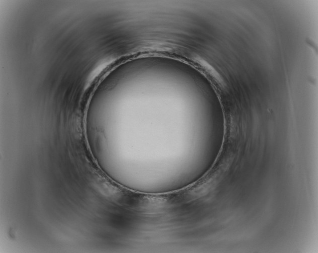 X0000096680878200802051243