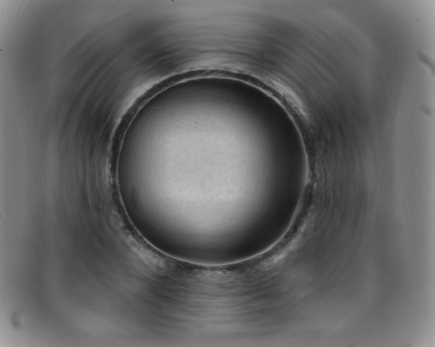 X0000096680880200802051243