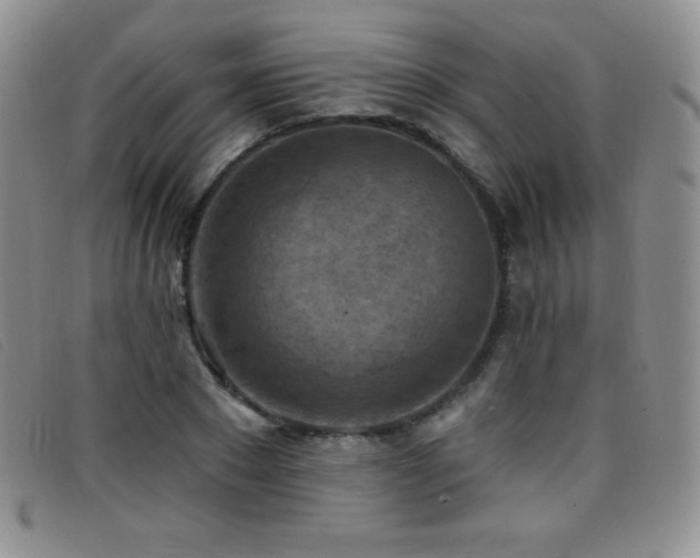 X0000096680881200802051243