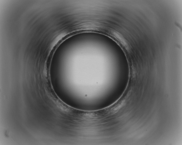 X0000096680883200802051243