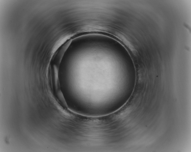 X0000096680885200802051243