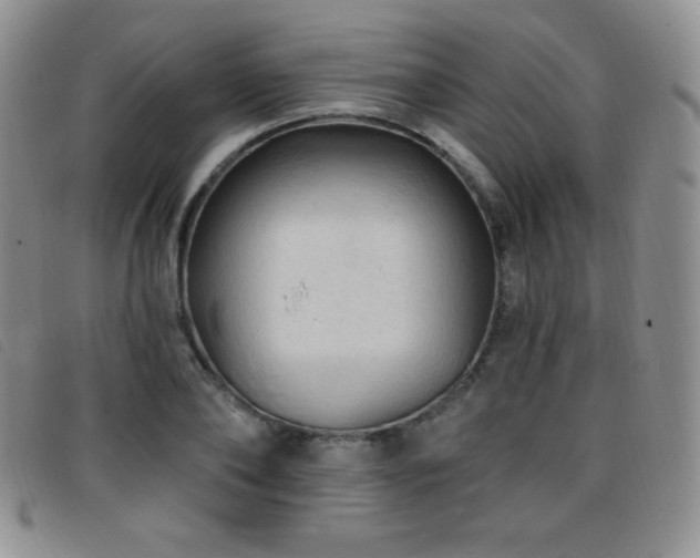 X0000096680886200802051243