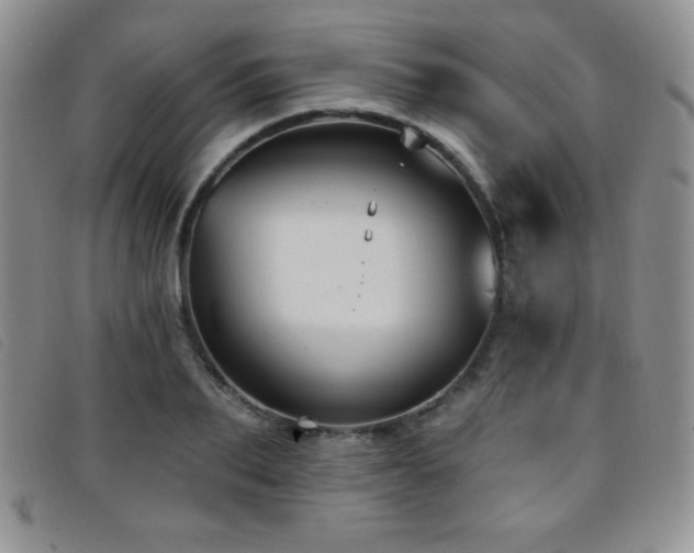 X0000096680887200802051243