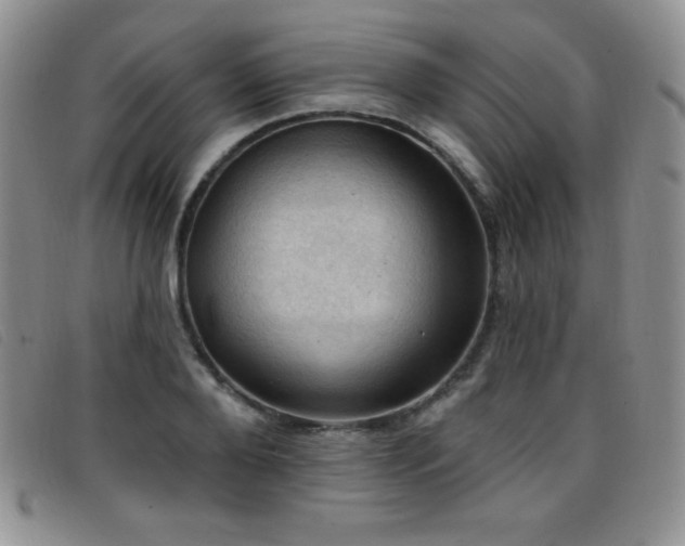 X0000096680888200802051243