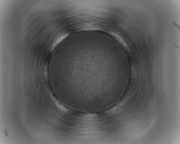 X0000096680889200802051243