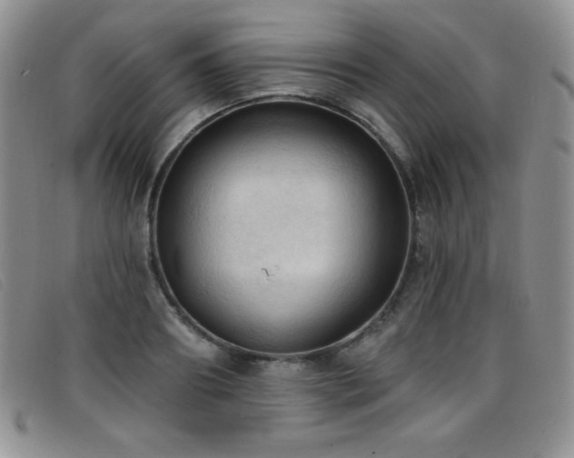 X0000096680890200802051243