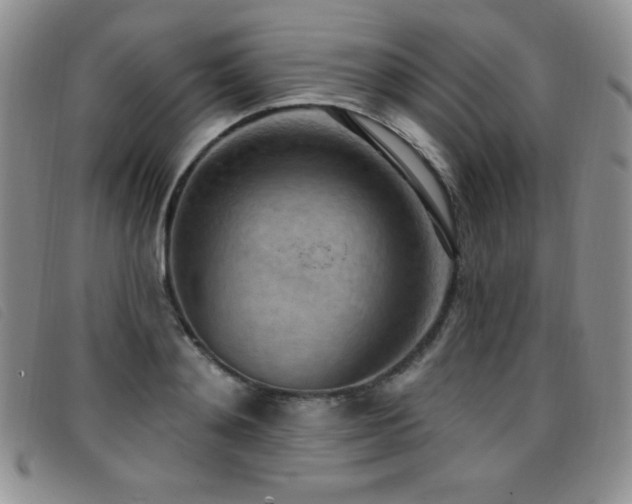 X0000096680892200802051243
