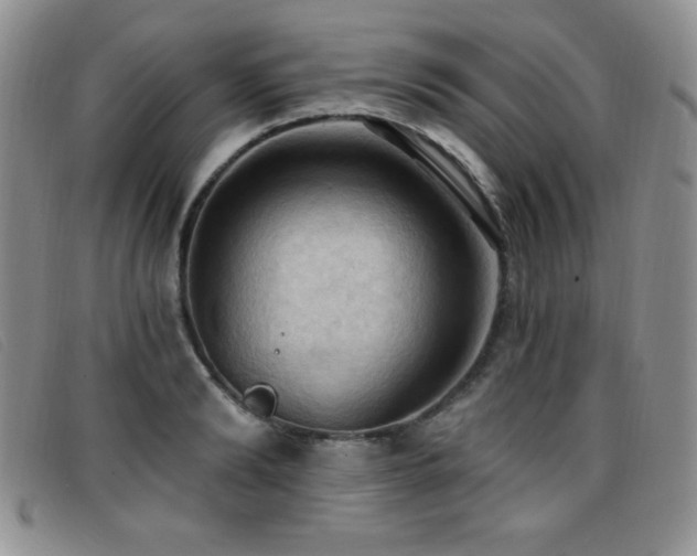 X0000096680894200802051243