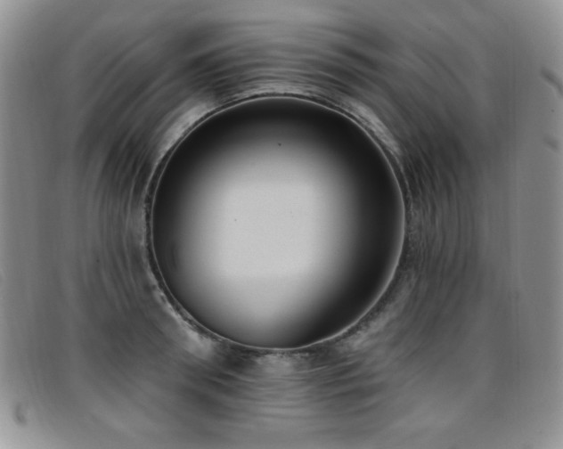 X0000096680898200802051243