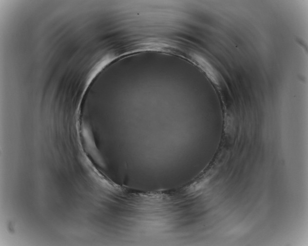 X0000096680899200802051243