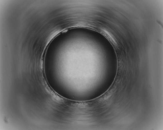X0000096680900200802051243