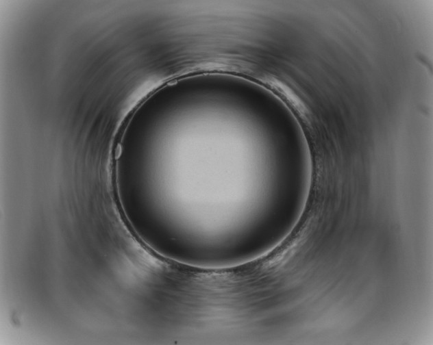 X0000096680902200802051243