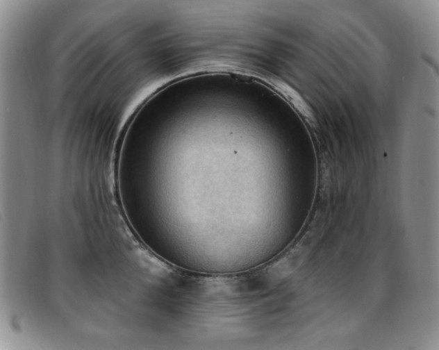 X0000096680904200802051243