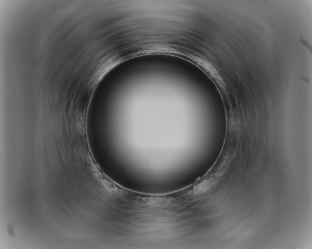 X0000096680905200802051243