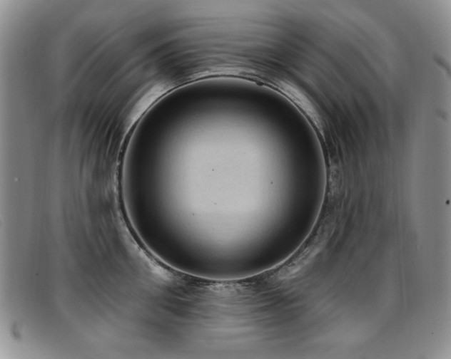 X0000096680906200802051243