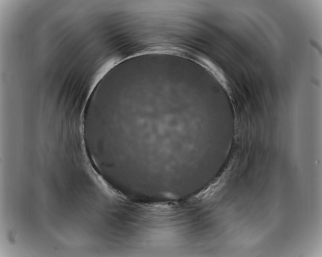 X0000096680907200802051243