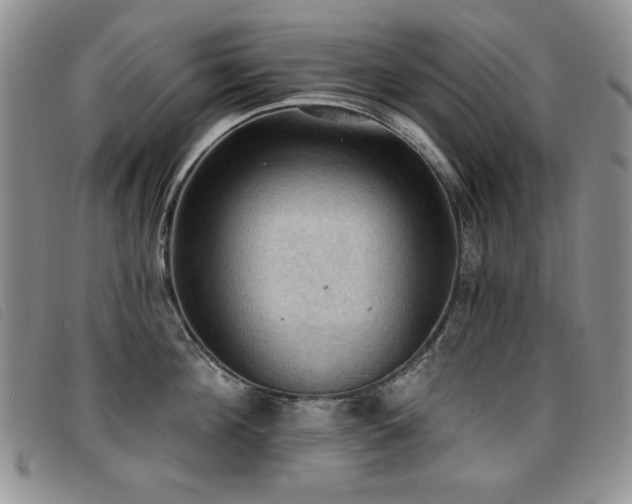 X0000096680908200802051243