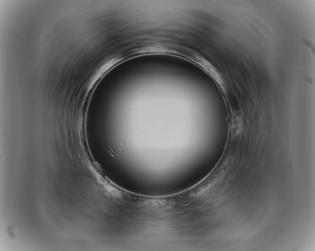 X0000096680909200802051243