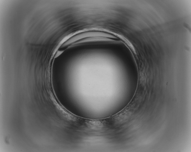 X0000096680911200802051243
