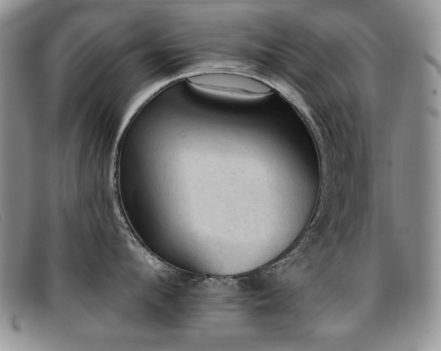 X0000096680912200802051243