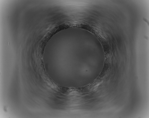 X0000096680913200802051242