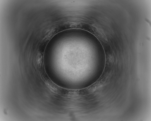 X0000096680914200802051242