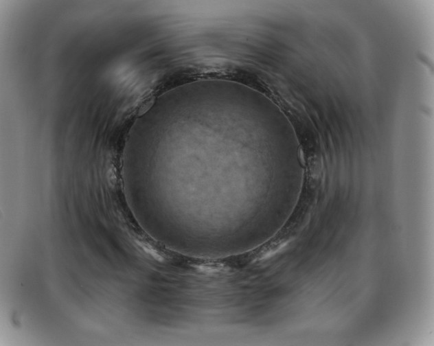 X0000096680916200802051242