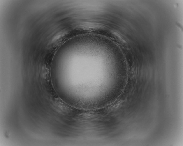 X0000096680917200802051242